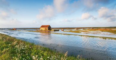 Jak edukacja użytkowników zmniejsza straty wody? Najskuteczniejsze działania dla firm, samorządów i mieszkańców